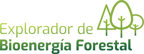 Explorador Forestal